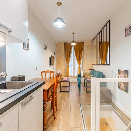 Duplex Climatise En Hyper Centre De Apartament Bordeaux