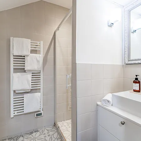 Duplex Climatise En Hyper Centre De Lejlighed *